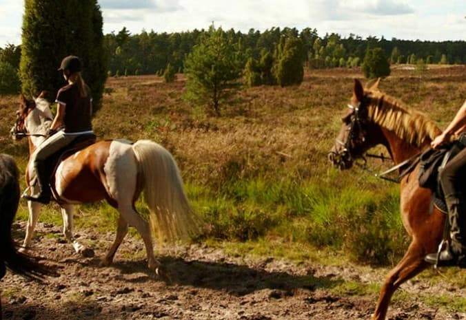 Ausreitgelände am Lindenhof Wolterdingen