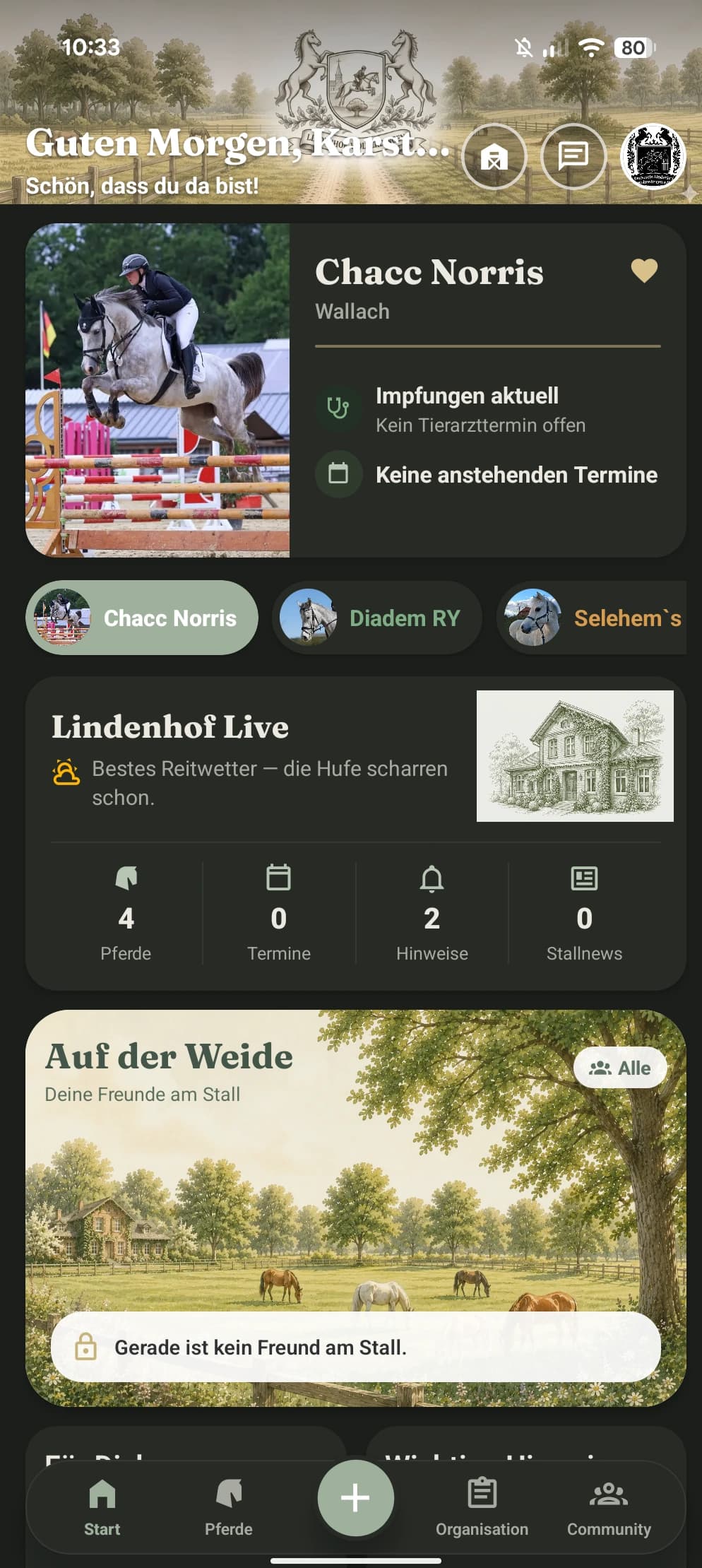 Startseite der App mit Pferd, Wetter und Weide