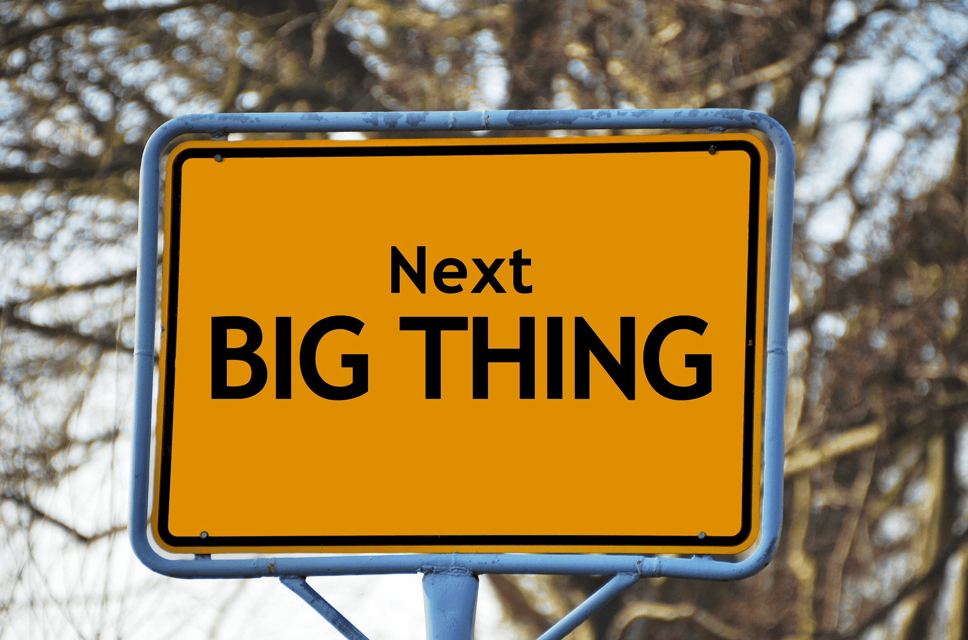 Schild mit der Aufschrift Next Big Thing